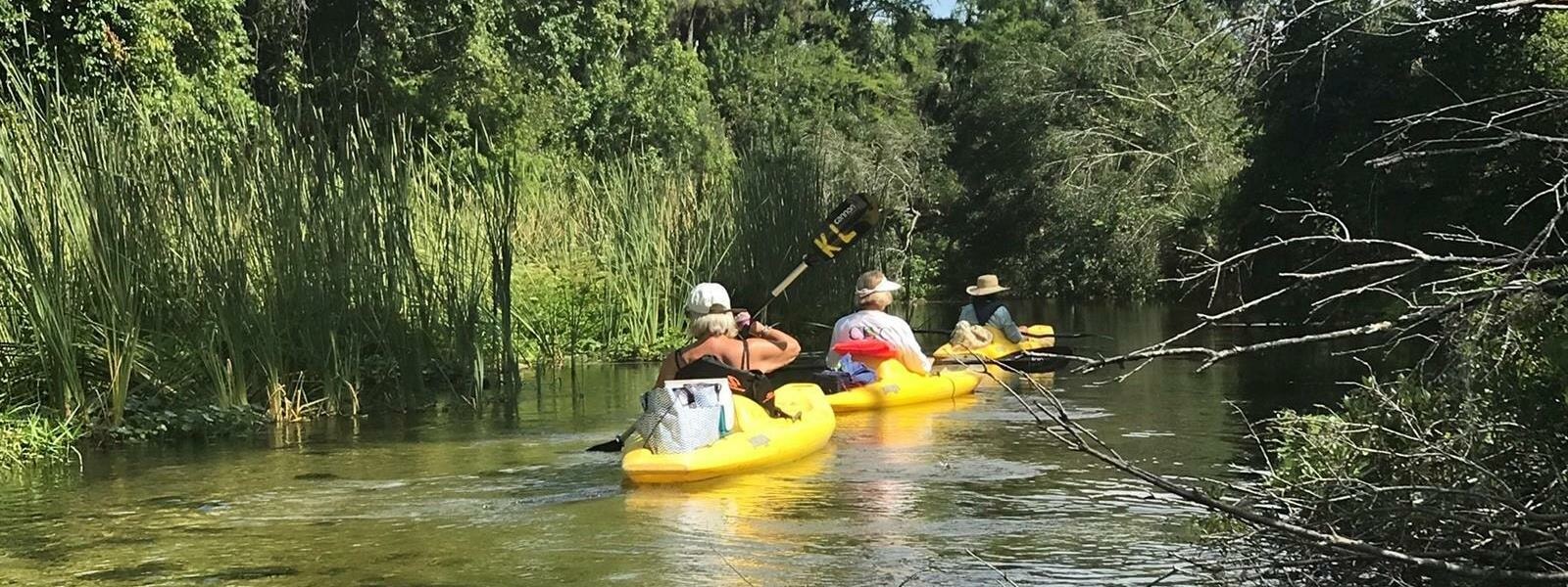 Waterfront Activities